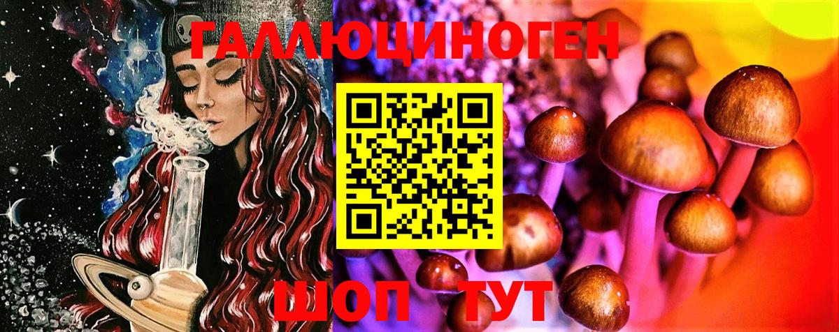 Галлюциногенные грибы мицелий  Псилоцибиновые грибы Psilocybine cubensis  Вход с VPN  Аргун 