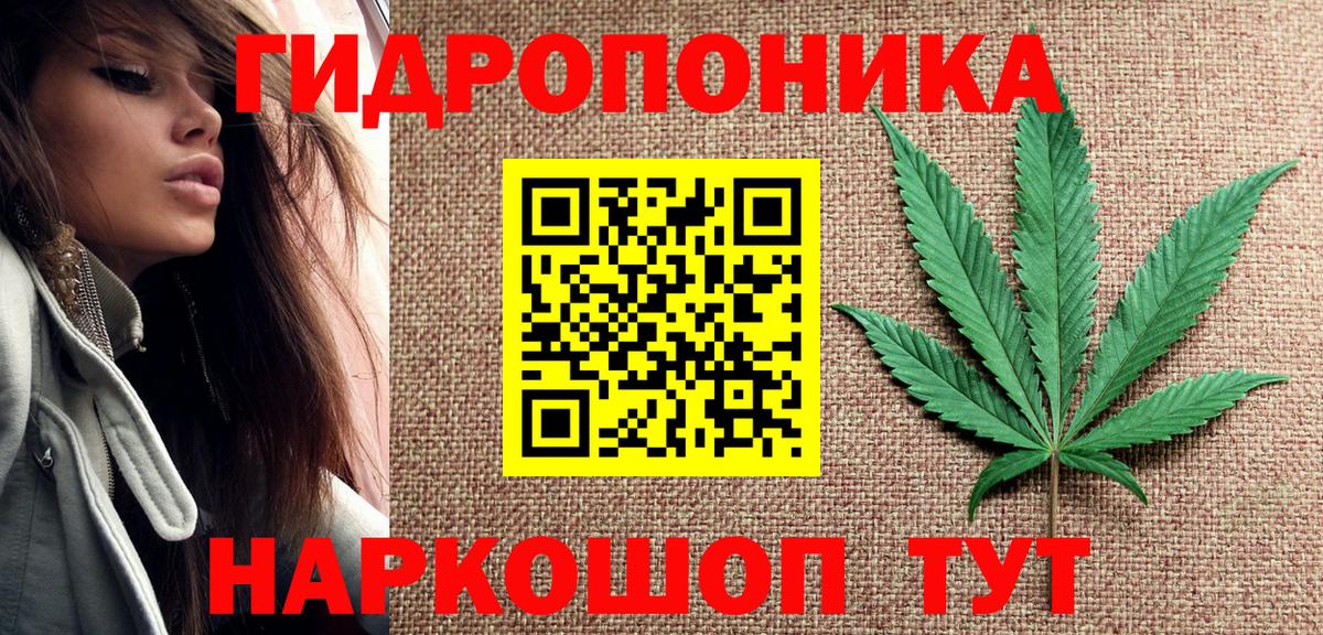 Аргун  Бошки марихуана Amnesia  Каннабис SATIVA & INDICA  Вход с VPN  Канабис SATIVA & INDICA 
